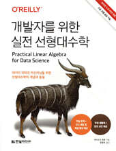 개발자를 위한 실전 선형대수학