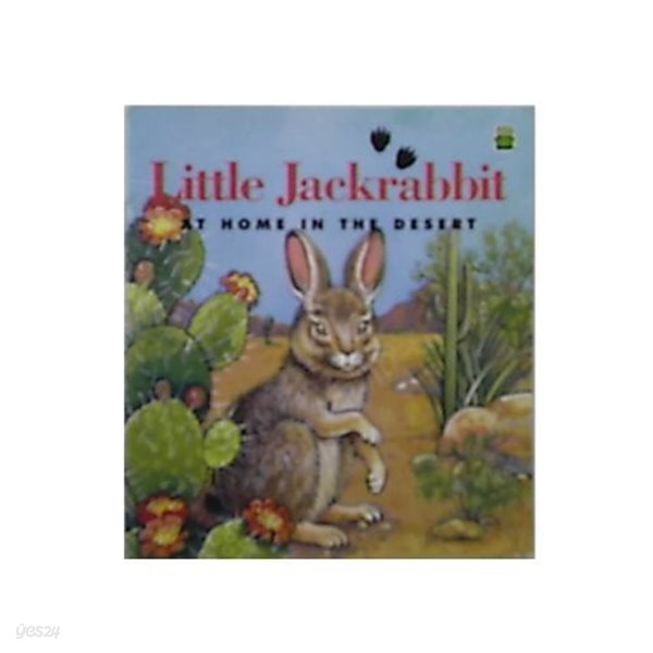 Little Jackrabbit: At Home In The Desert (Leap Frog) paperback