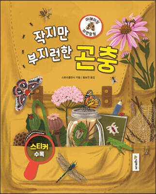 어메이징 자연탐험 : 곤충