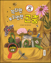 어메이징 자연탐험 : 곤충