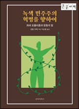 녹색 민주주의 혁명을 향하여 (큰글자책)