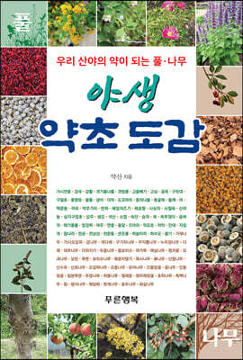 야생 약초 도감