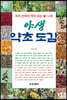 야생 약초 도감