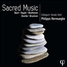 Philippe Herreweghe 필리프 헤레베헤 종교 음악 모음집 (Sacred Music)