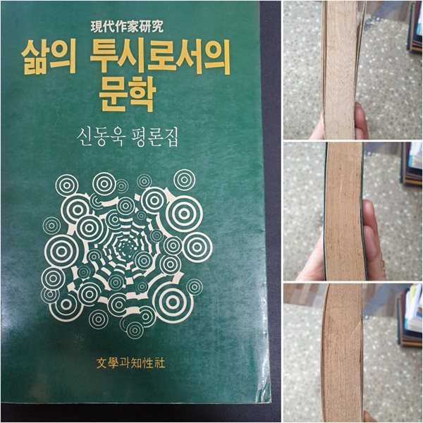 삶의 투시로서의 문학