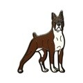 복서(boxer) 뱃지