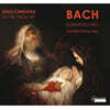 Dominik Worner 바흐: 베이스 독창 칸타타집 (Bach : Solo Cantatas Bwv 82, 158, 56, 203)