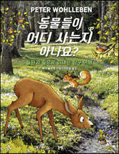 동물들이 어디 사는지 아나요?