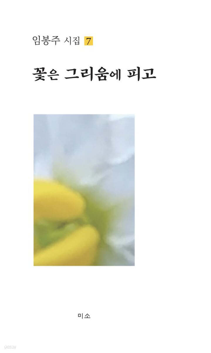 꽃은 그리움에 피고