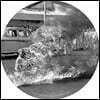 Rage Against The Machine (레이지 어게인스트 더 머신) - Rage Against The Machine [픽쳐 디스크 LP]
