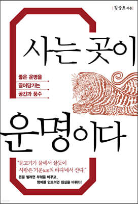 사는 곳이 운명이다 (큰글자도서)