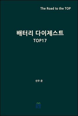 배터리 다이제스트 TOP17
