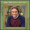 Johnny Mathis (조니 마티스) - Christmas Time Is Here