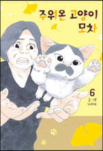 주워온 고양이 모차 6