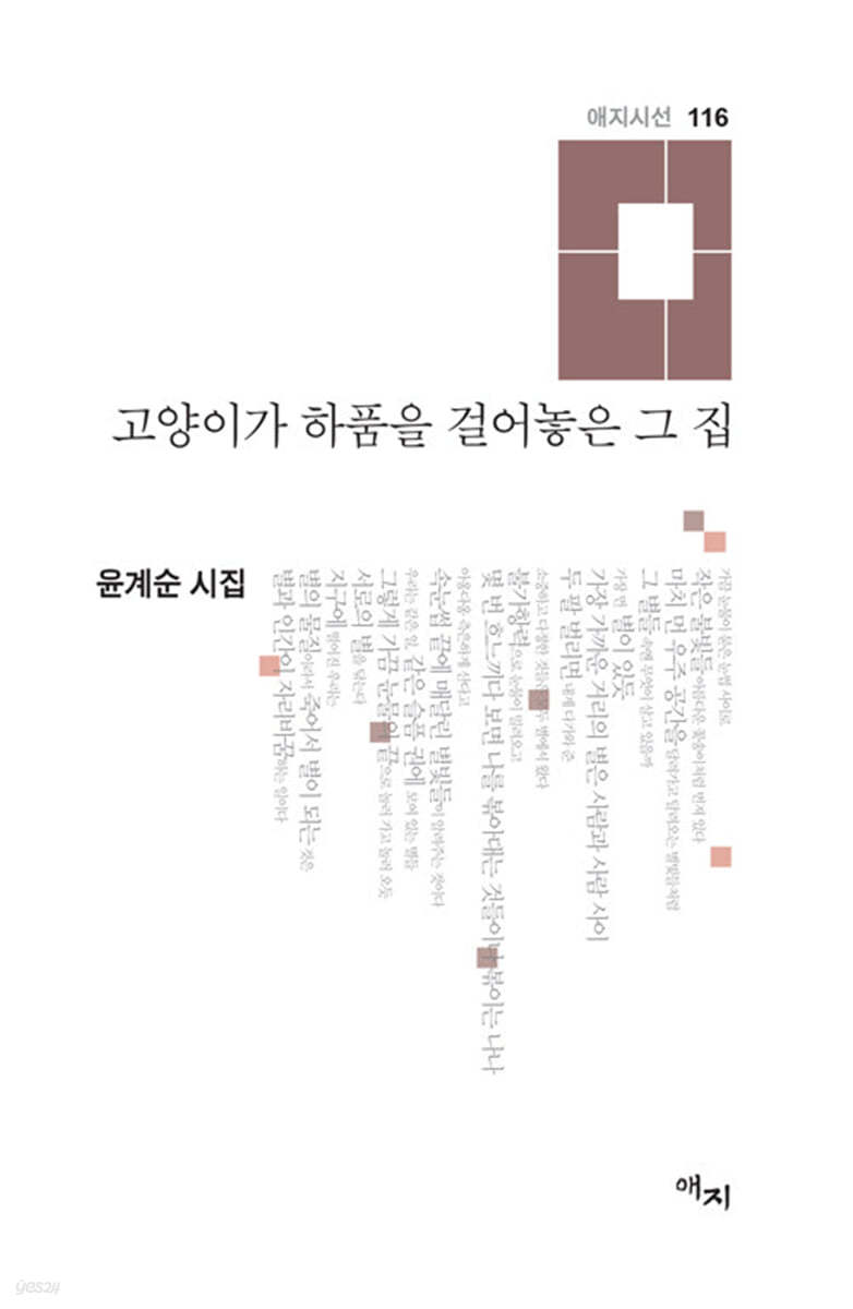 고양이가 하품을 걸어놓은 그 집