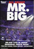 ALL ABOUT MR.BIG