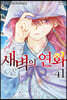 새벽의 연화 41 한정판