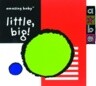 Amazing Baby Little, Big!: An Amazing Baby Mini Board Book