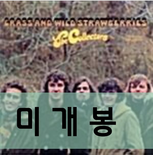 컬렉터스 (The Collectors) Grass &amp; Wild Strawberries 