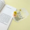 인싱글즈 압화 책갈피 DIY 수제 핸드메이드 투명 북마크 세트