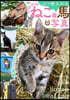 心が癒されるかわいいねこと馬の寫眞