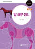말 해부 생리