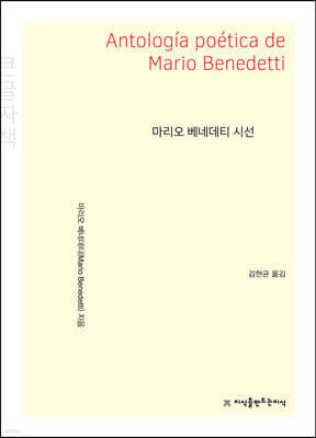 마리오 베네데티 시선 (큰글자책)