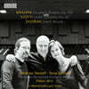 Christian Tetzlaff / Tanja Tetzlaff 브람스: 이중협주곡 / 비오티: 바이올린 협주곡 22번 / 드보르작: 조용한 숲 (Brahms: Double Concerto / Viotti: Violin Concerto No. 22 / Dvorak: Silent Woods)