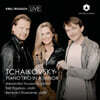 Alexandra Troussova / Kirill Troussov / Benedict Kloeckner 차이콥스키: 피아노 삼중주 (Tchaikovsky Piano Trio in A Minor)