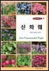꽃이 숨쉬는 책 6 신화훼 : 새롭게 등장한 꽃식물