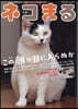 ネコまる 47