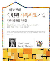 미누친의 숙련된 가족치료 기술