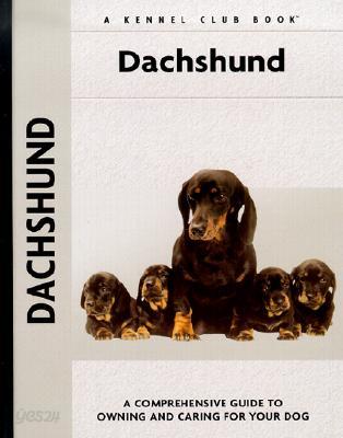 Dachshund