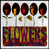 Rolling Stones - Flowers (180g LP)
