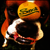 Snot - Get Some (LP)