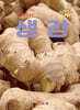생강
