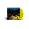 Brittany Howard - What Now (Ltd)(Colored LP)