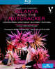 Omer Meir Wellber 차이코프스키: 이올란타와 호두까기인형 (Tchaikovsky: Iolanta and The Nutcracker)