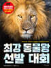 최강 동물왕 선발 대회