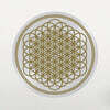 Bring Me The Horizon (브링 미 더 호라이즌) - Sempiternal [픽쳐디스크 LP]