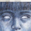Steve Hackett (스티브 해킷) - To Watch The Storms [2LP]