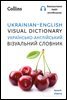 Ukrainian ? English Visual Dictionary ? Укра?нсько-англ?йський в?зуальний словник