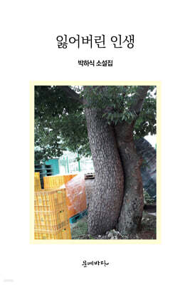 잃어버린 인생