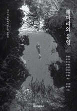 해파리의 유영
