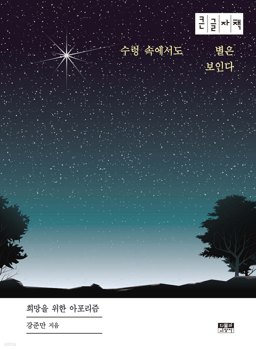 수렁 속에서도 별은 보인다 (큰글자책)