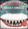 Lifesize Deadly Animals