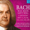Christoph Spering 바흐: 칸타타 5, 33, 94, 111, 113, 135, 178번 (Bach: Cantatas BWV 5,33,94,111,113,135,178)