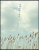 바람 불어도 좋아
