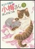 キジトラ猫の小梅さん   9