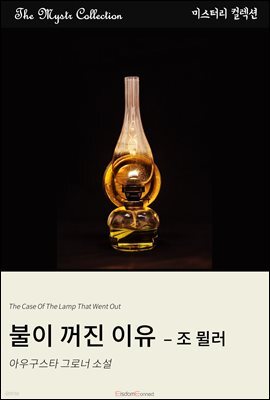 불이 꺼진 이유 - 조 뮐러